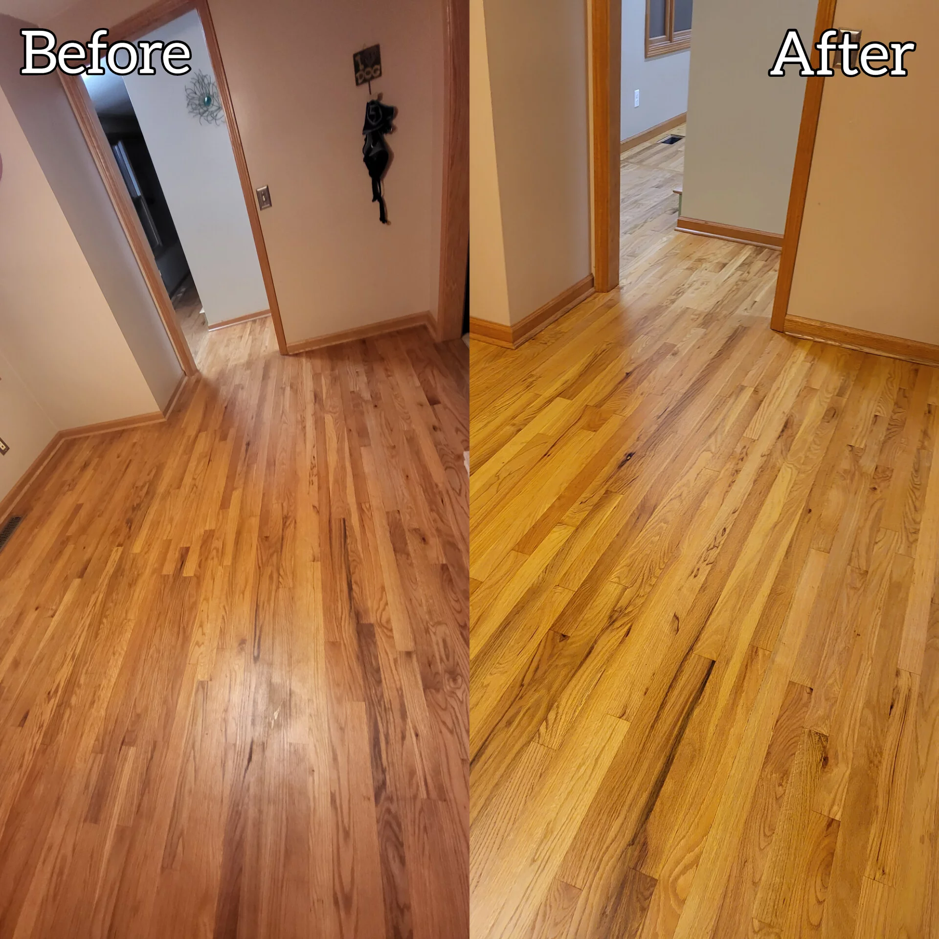 At Rapid Revival Hardwood, We Pride Ourselves On Delivering Phenomenal Hardwood Floor Refinishing Options In Waynesville, Mo. Our Dustless Refinishing Process Is Designed To Restore The Beauty Of Your Hardwood Floors Efficiently And Effectively, Providing You With Stunning, Long-Lasting Results Without The Mess.